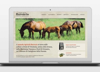 AZIENDA AGRICOLA BARONCIO